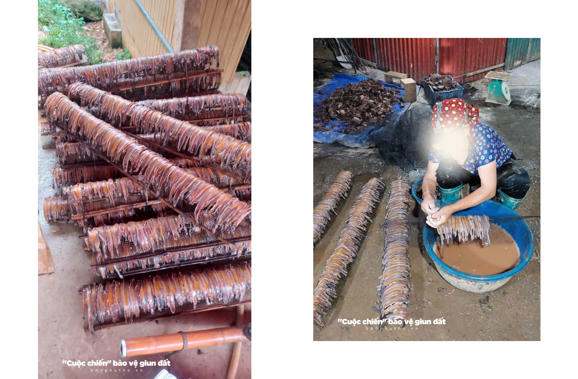 Kỳ 2: Bỏ “lợi ích” lấy “lợi nhuận” ?