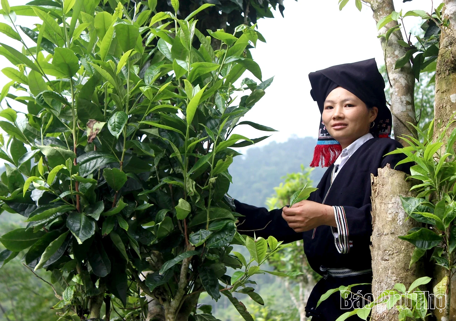 Chiến khu Giằng Xèo - Nơi truyền thống cách mạng soi đường