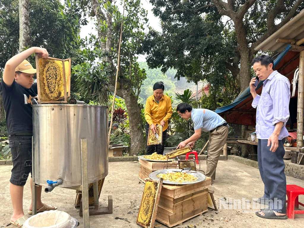 Các xã miền núi Ninh Bình bứt phá từ lợi thế bản địa