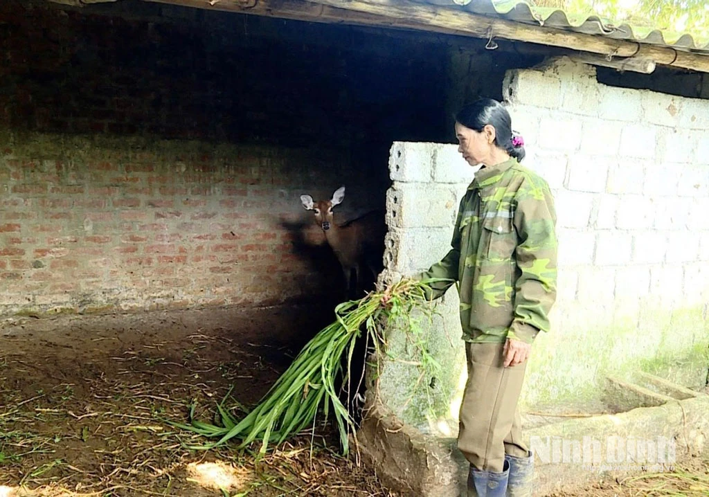 Các xã miền núi Ninh Bình bứt phá từ lợi thế bản địa