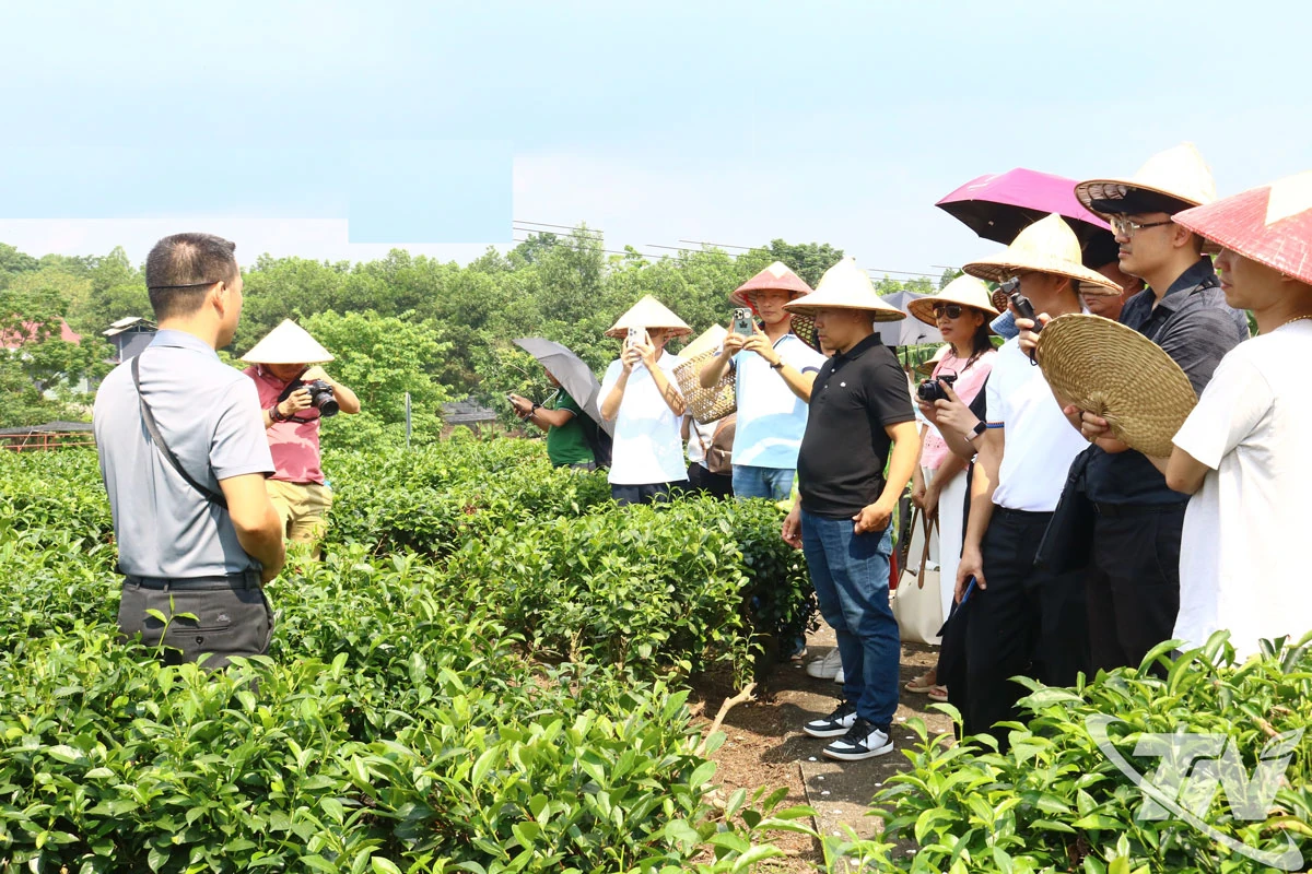 Du lịch bền vững - hướng đi tất yếu thời hội nhập