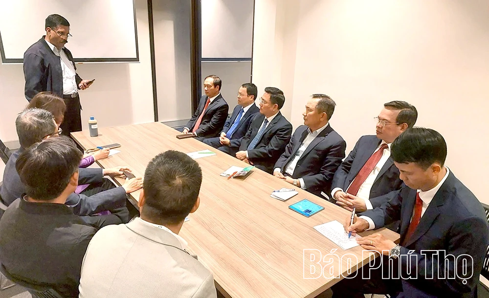 Lãnh đạo tỉnh Phú Thọ làm việc với Giám đốc Công ty Dansun tại Melbourne, Úc