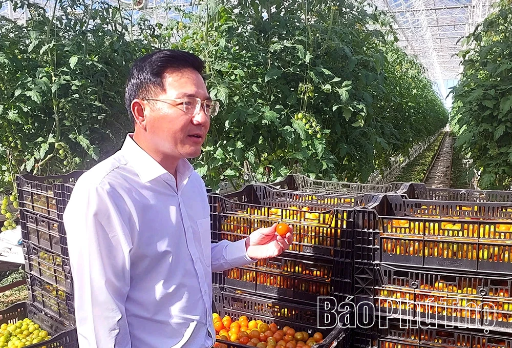 Đoàn công tác tỉnh Phú Thọ thăm và làm việc với các doanh nghiệp tiêu biểu tại Melbourne, Úc