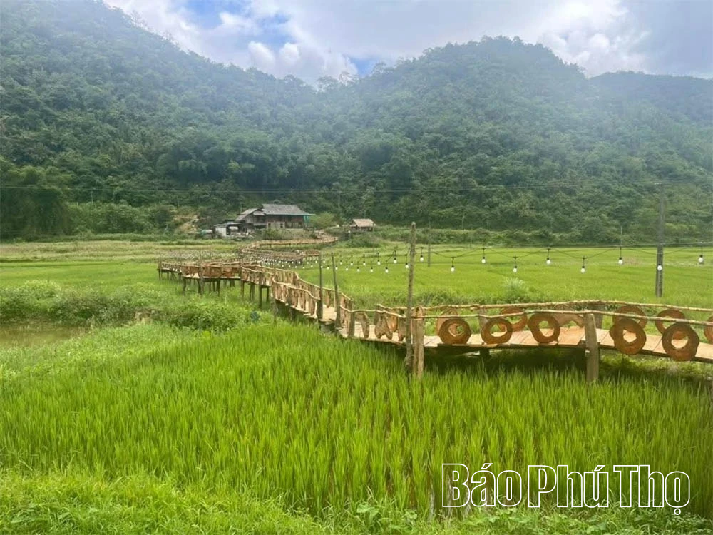 Mây vờn đỉnh núi nóc nhà xứ Mường