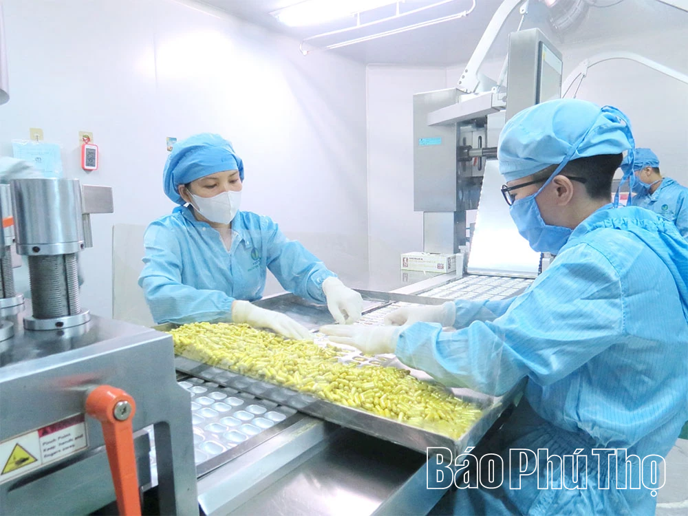 Ngăn chặn, đẩy lùi buôn lậu, gian lận thương mại, hàng giả là thuốc, mỹ phẩm dịp cuối năm
