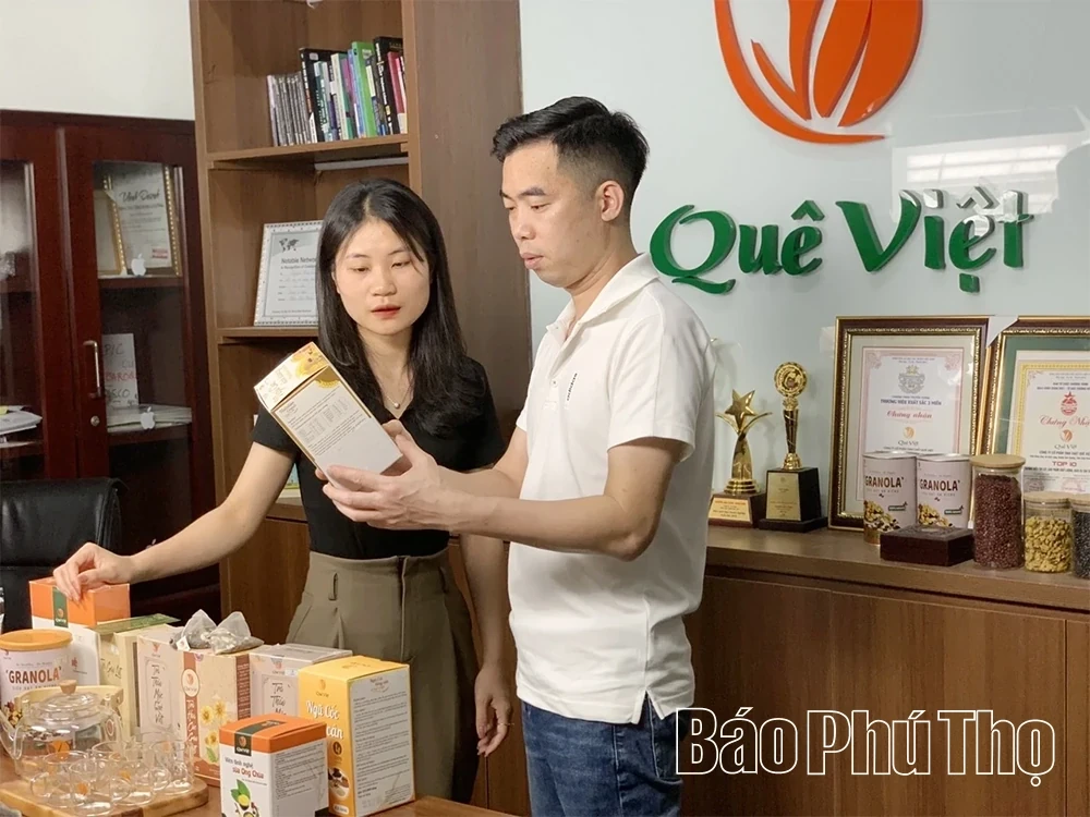 Que Viet Tea: Pure Agricultural Products Meeting OCOP Standards