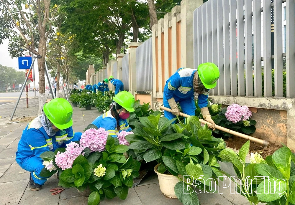 Sáng - xanh - sạch - đẹp đón Xuân mới 2026