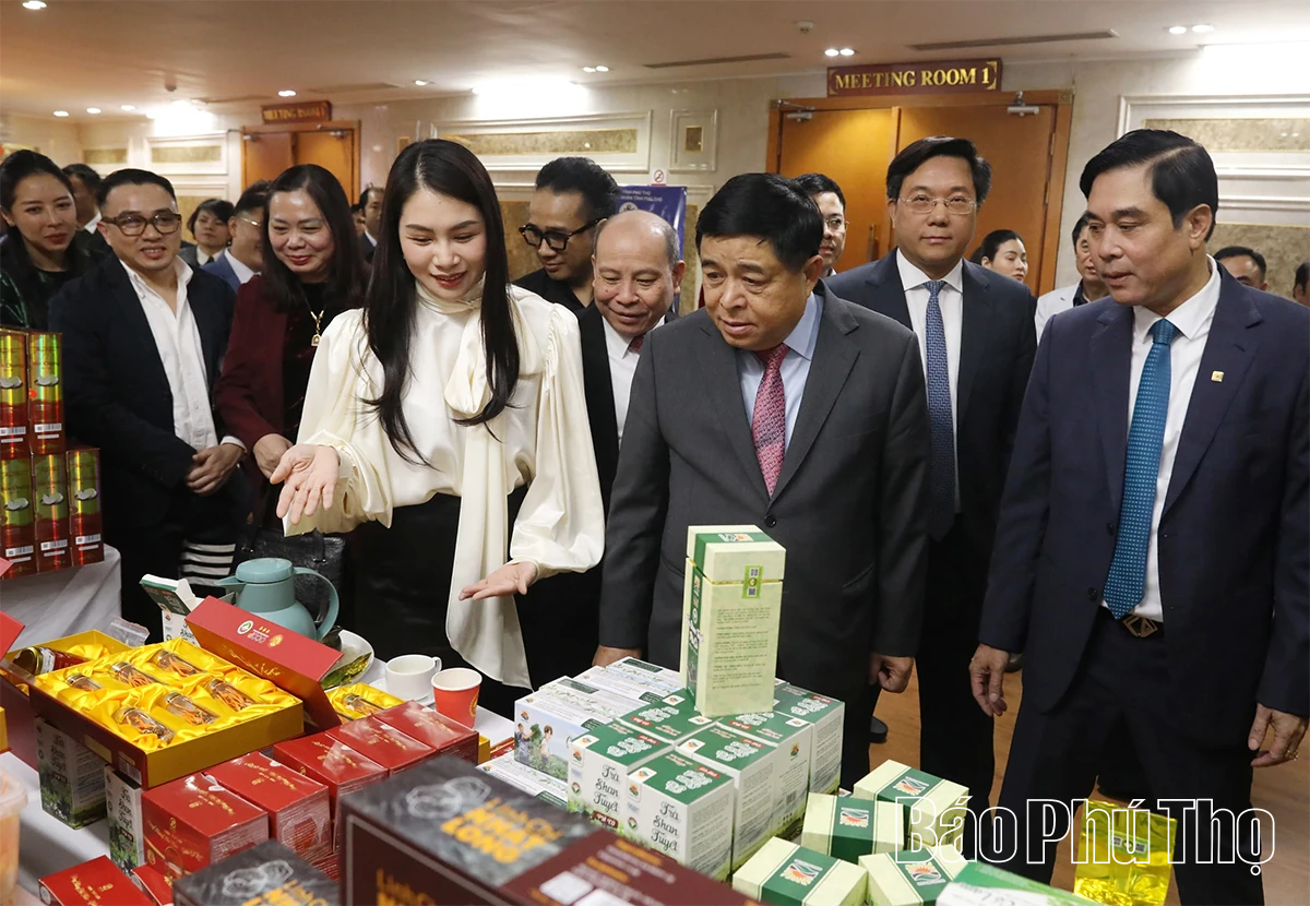 Triển khai các luật mới về đầu tư, đấu thầu, đất đai và cải thiện môi trường đầu tư kinh doanh