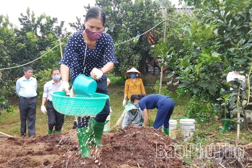 Tăng cường sử dụng phân bón hữu cơ để bảo vệ đất