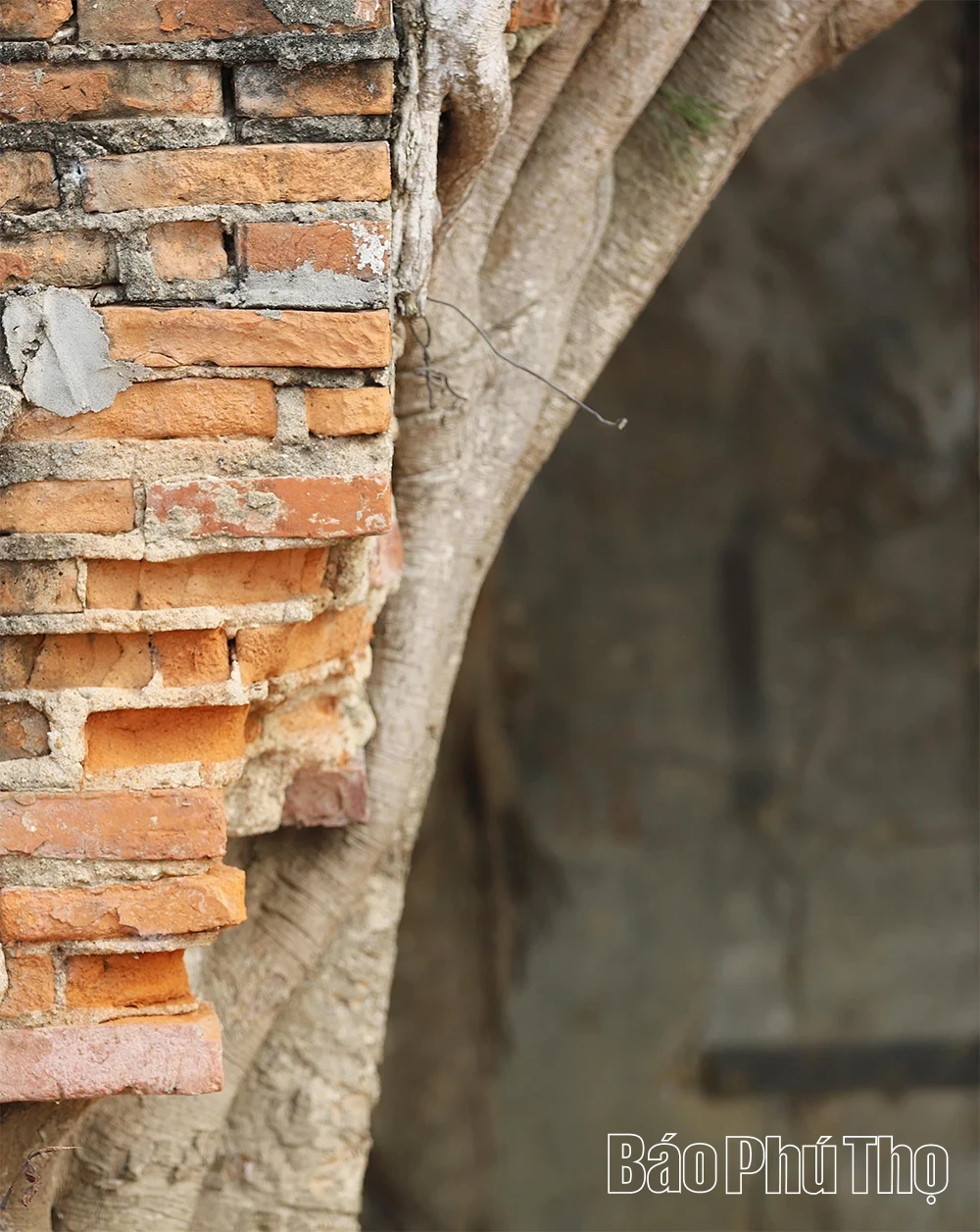The Unique Gate of Phu Hau Communal House