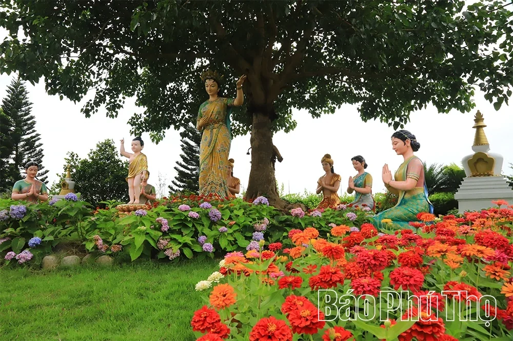 Luring Steps in Tay Thien