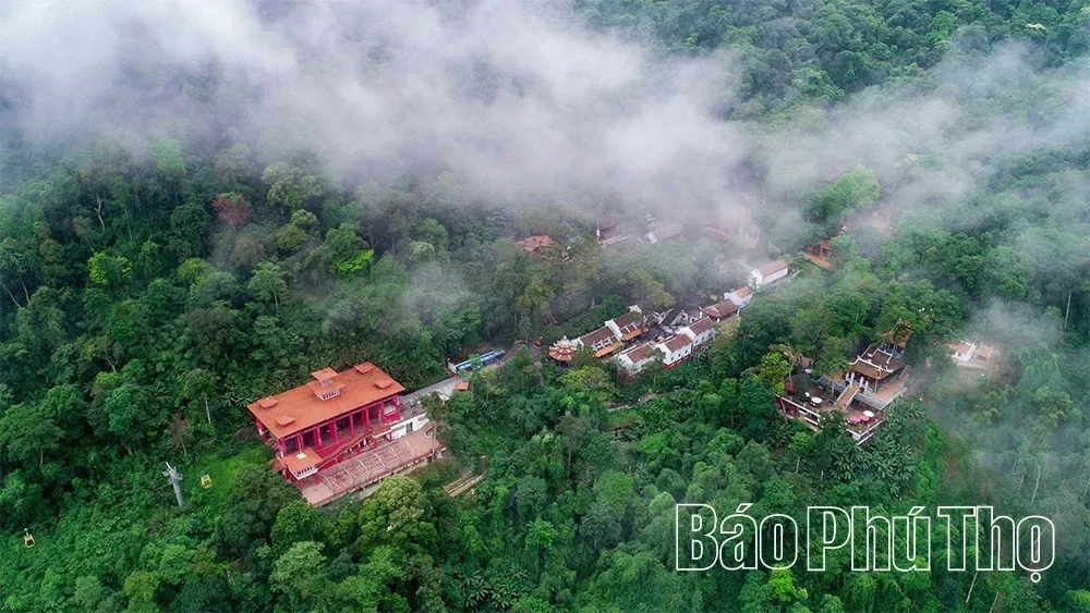 Luring Steps in Tay Thien