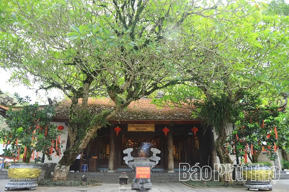 Luring Steps in Tay Thien