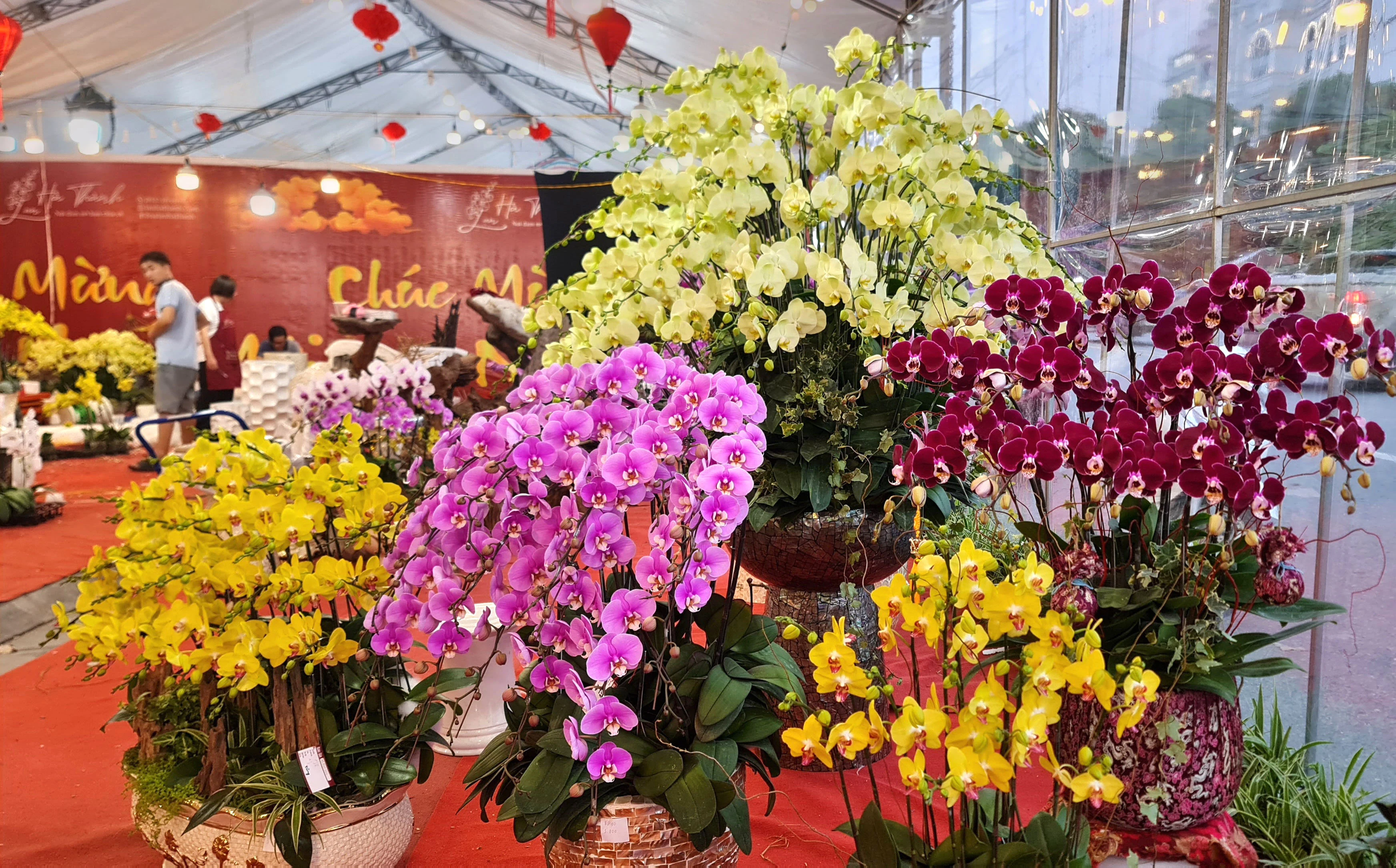 Chợ hoa ngày Tết