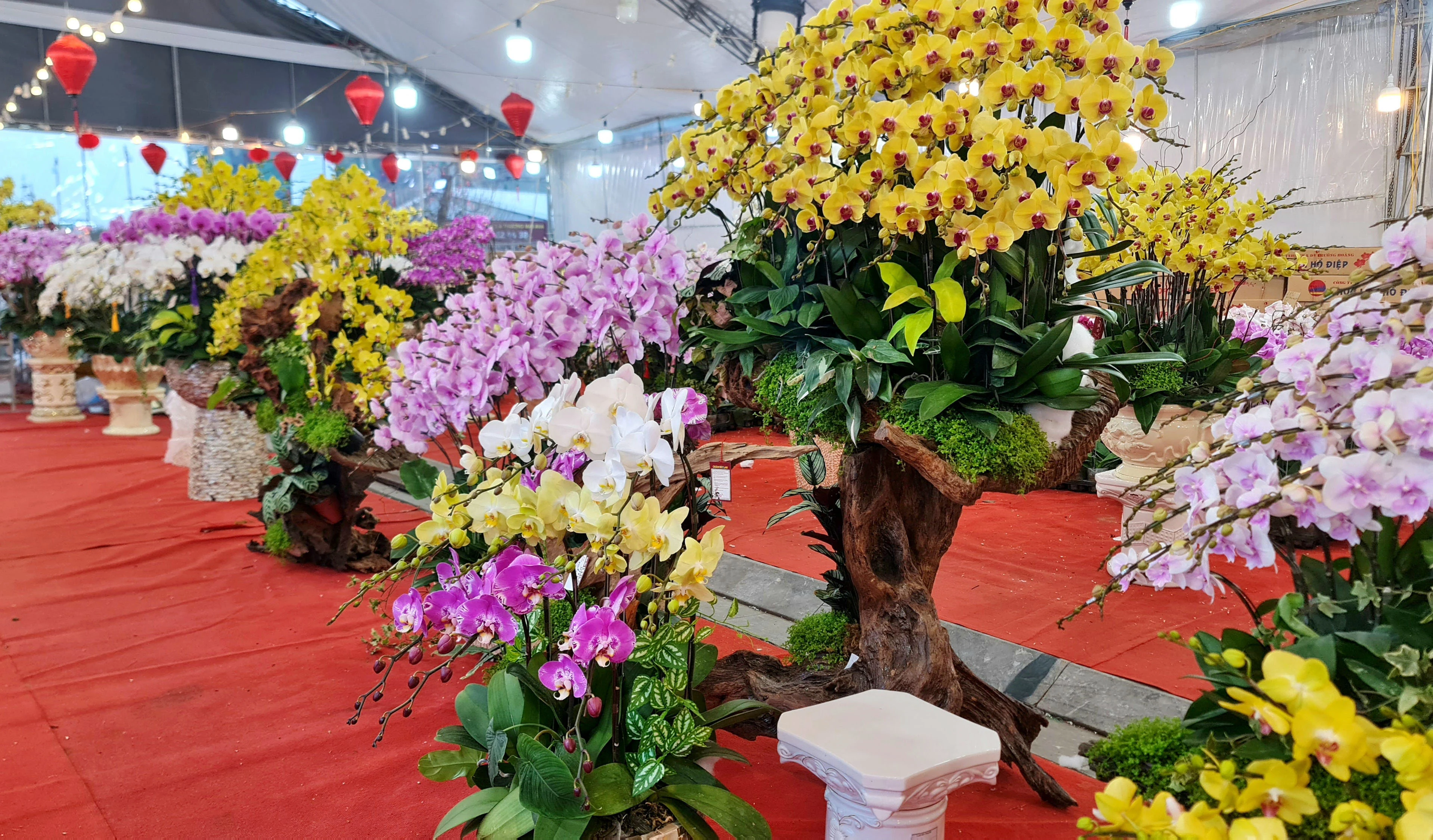 Chợ hoa ngày Tết