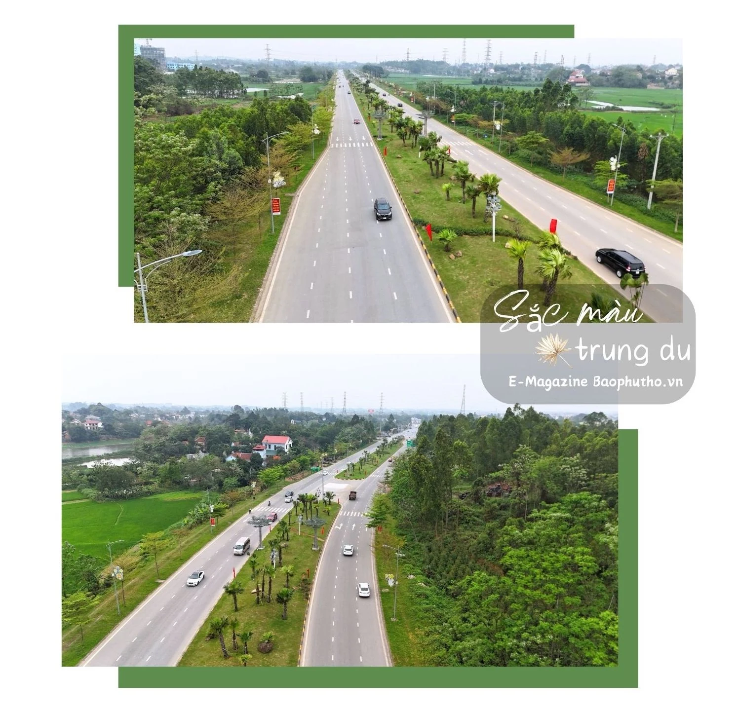 Sắc màu trung du