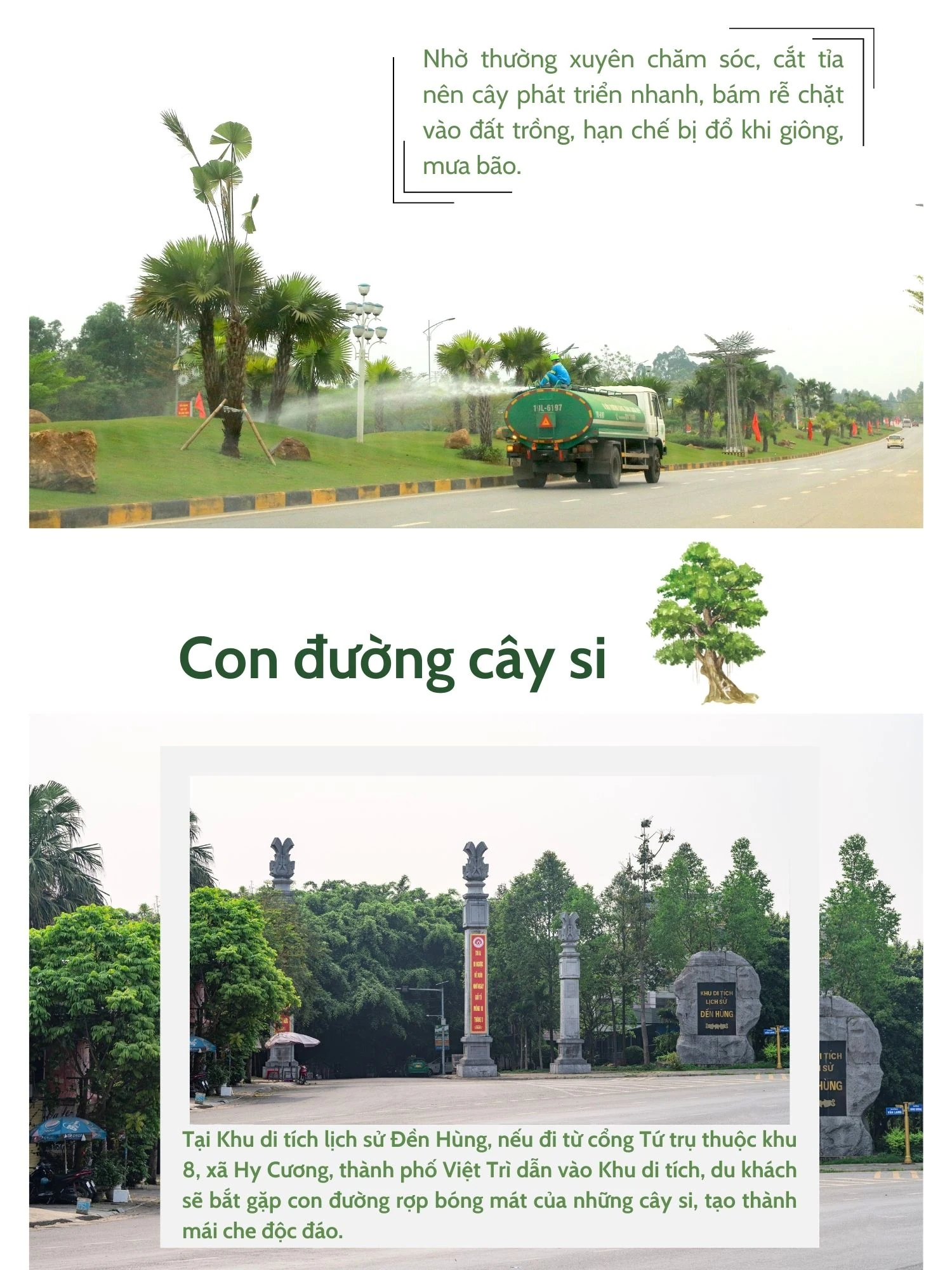 Sắc màu trung du
