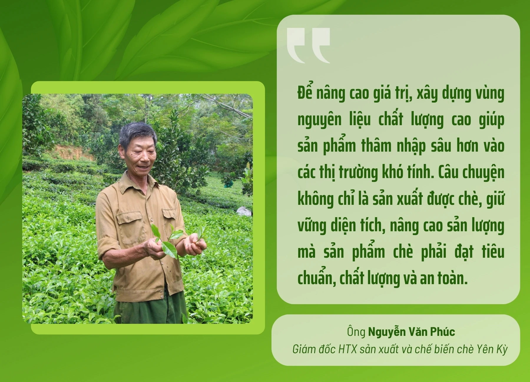 Phát triển thương hiệu chè Phú Thọ
