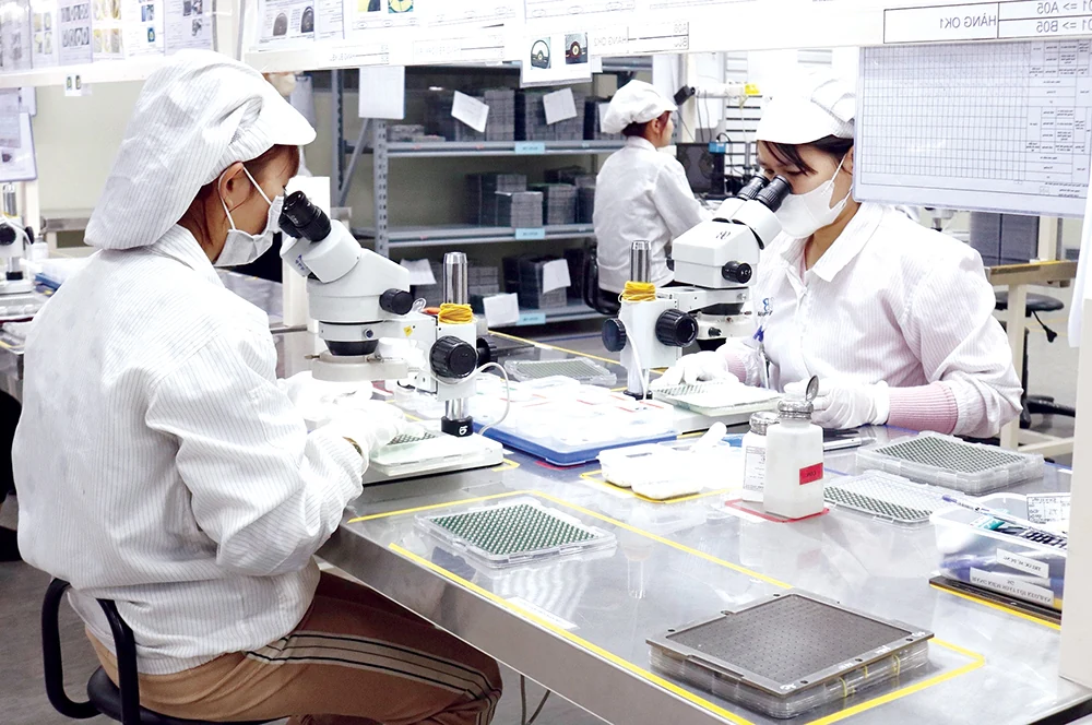 Effectively Exploiting the Recovery of the Export Market