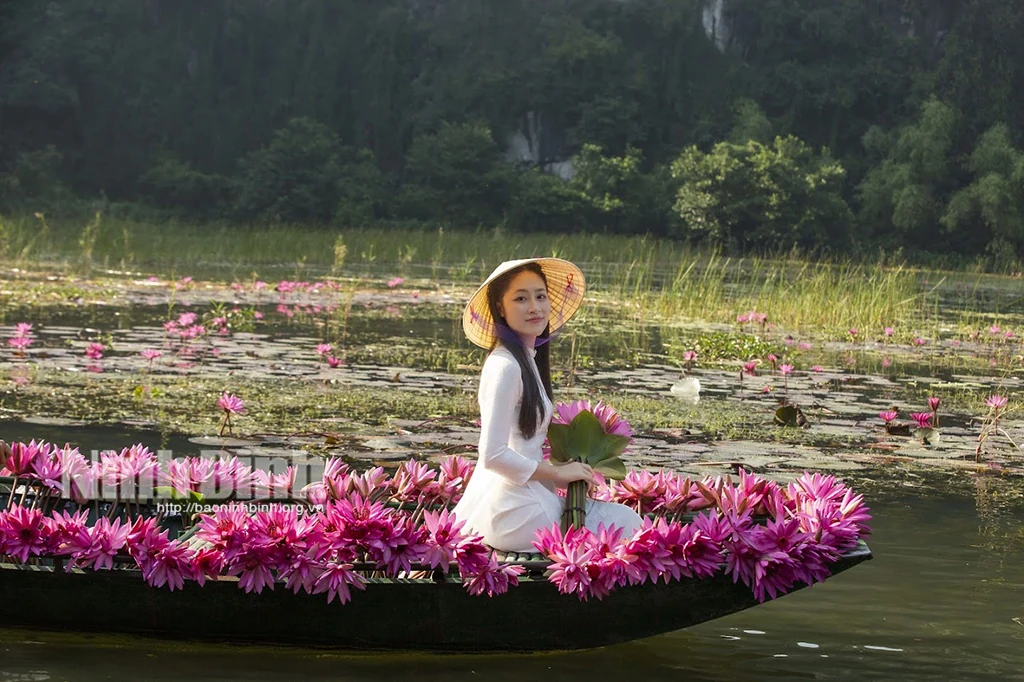 Đẹp nao lòng mùa hoa súng tím