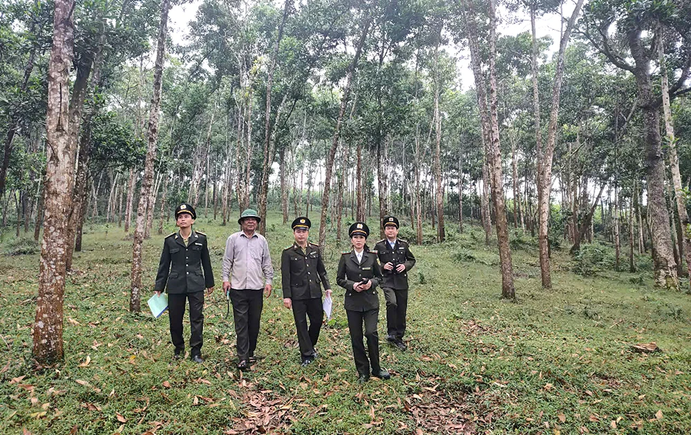 Kỳ I: Trợ lực kịp thời