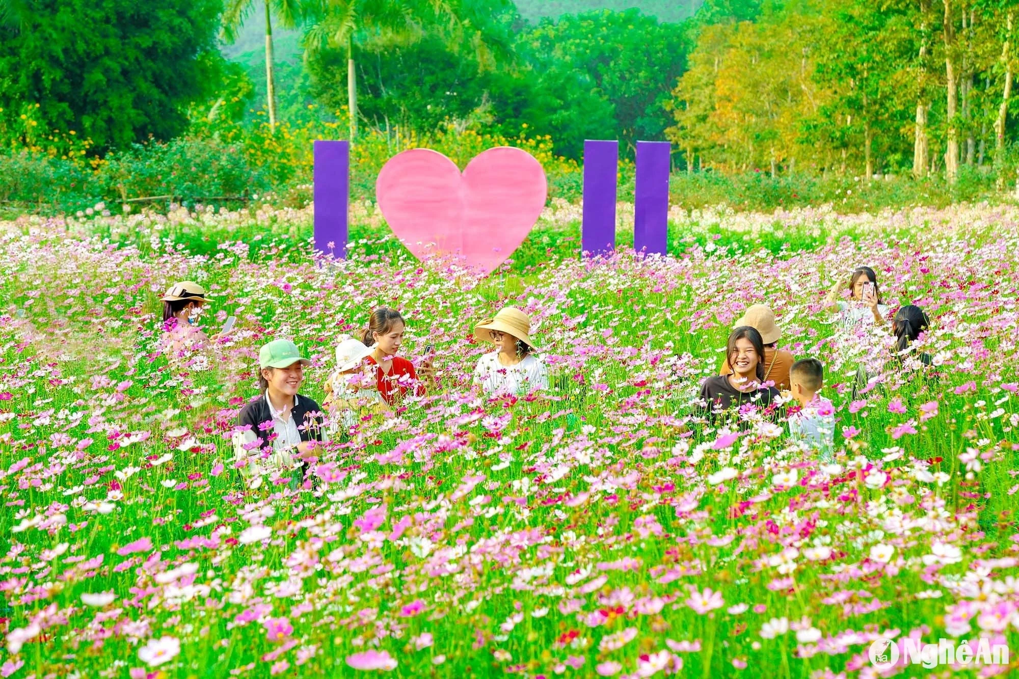 Những “điểm hẹn mùa Xuân” ở Nghệ An