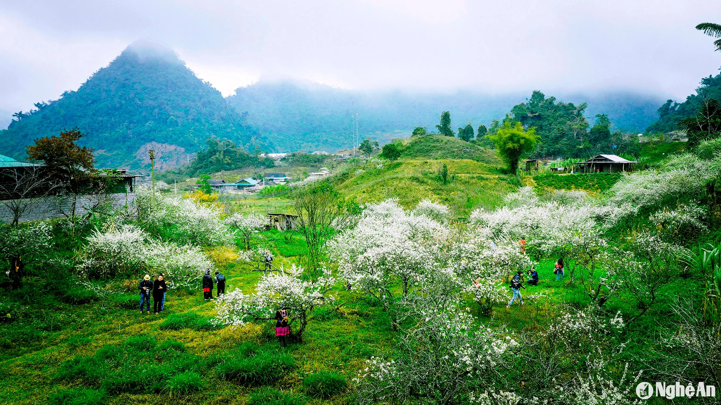 Những “điểm hẹn mùa Xuân” ở Nghệ An