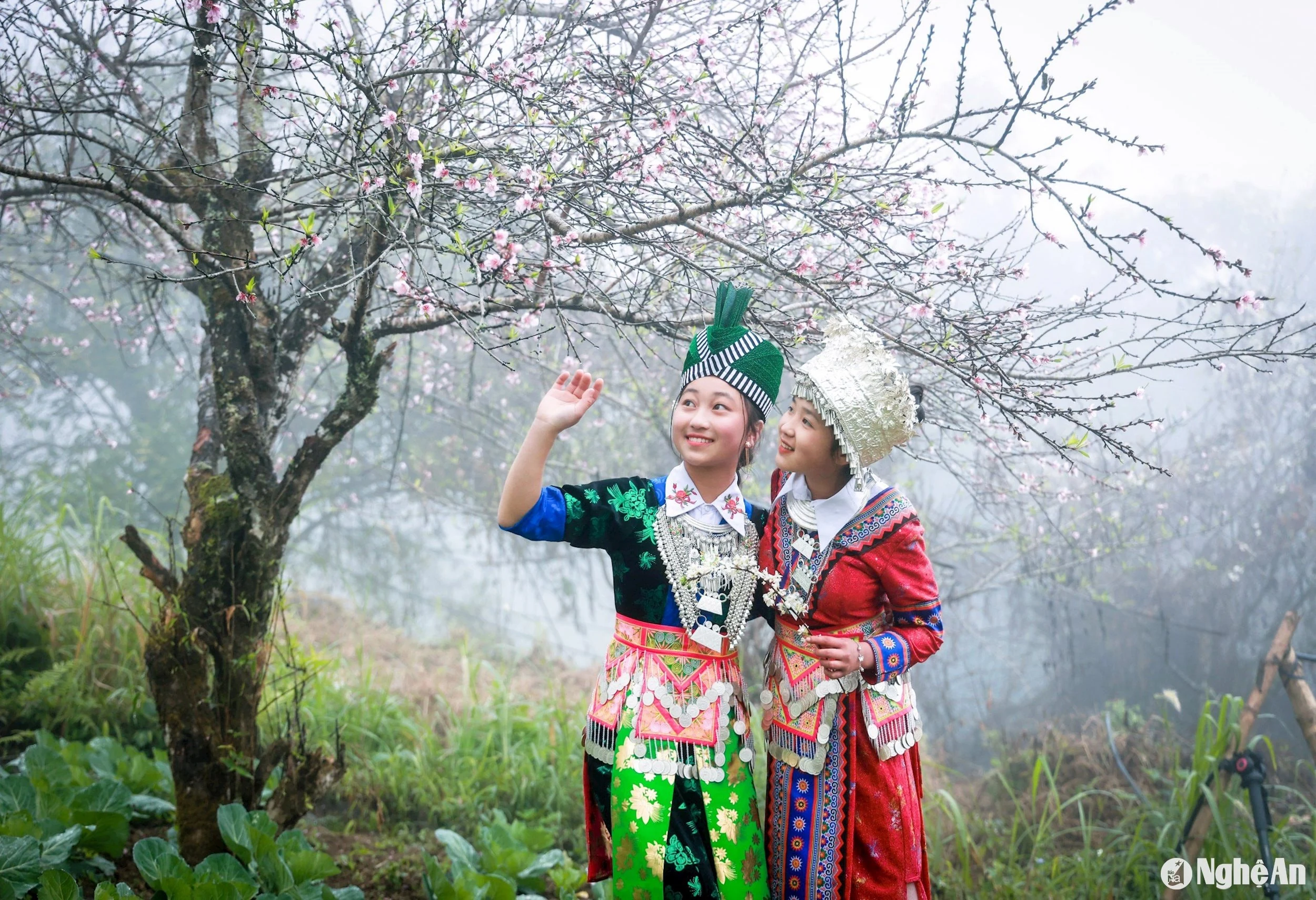 Những “điểm hẹn mùa Xuân” ở Nghệ An
