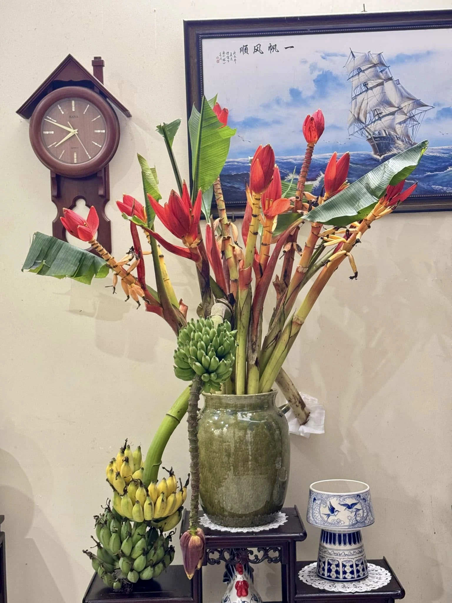 Brilliant wild banana flowers during Tet holiday