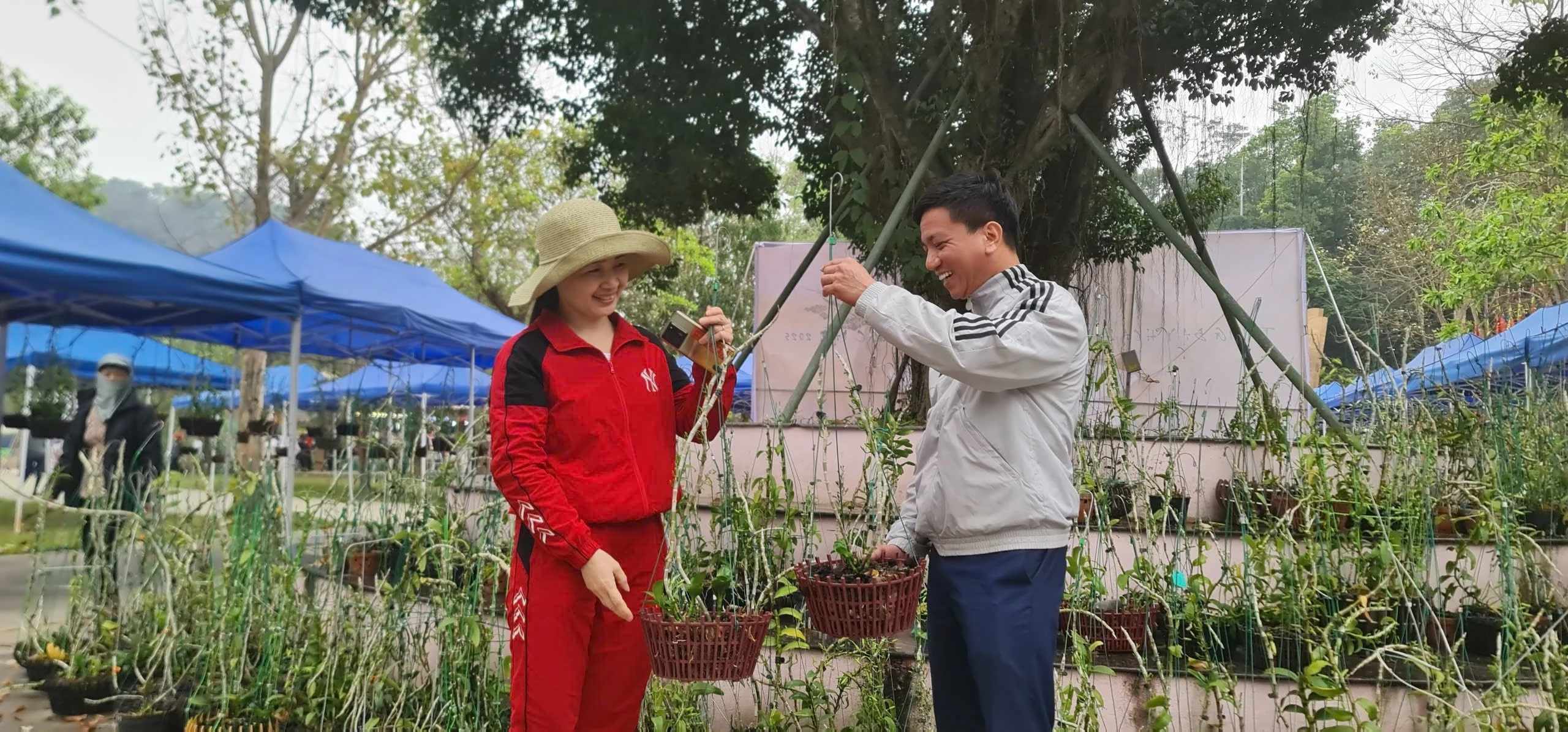 Trưng bày hoa lan nghệ thuật toàn quốc tại Đền Hùng