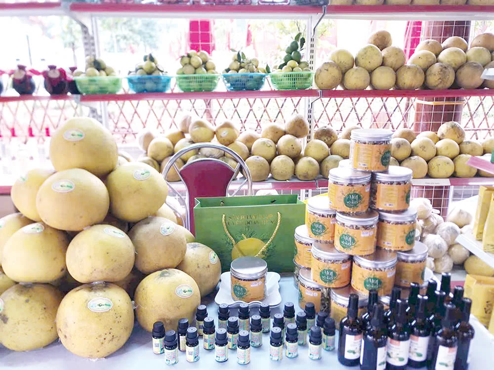 Developing tourism associated with culinary culture