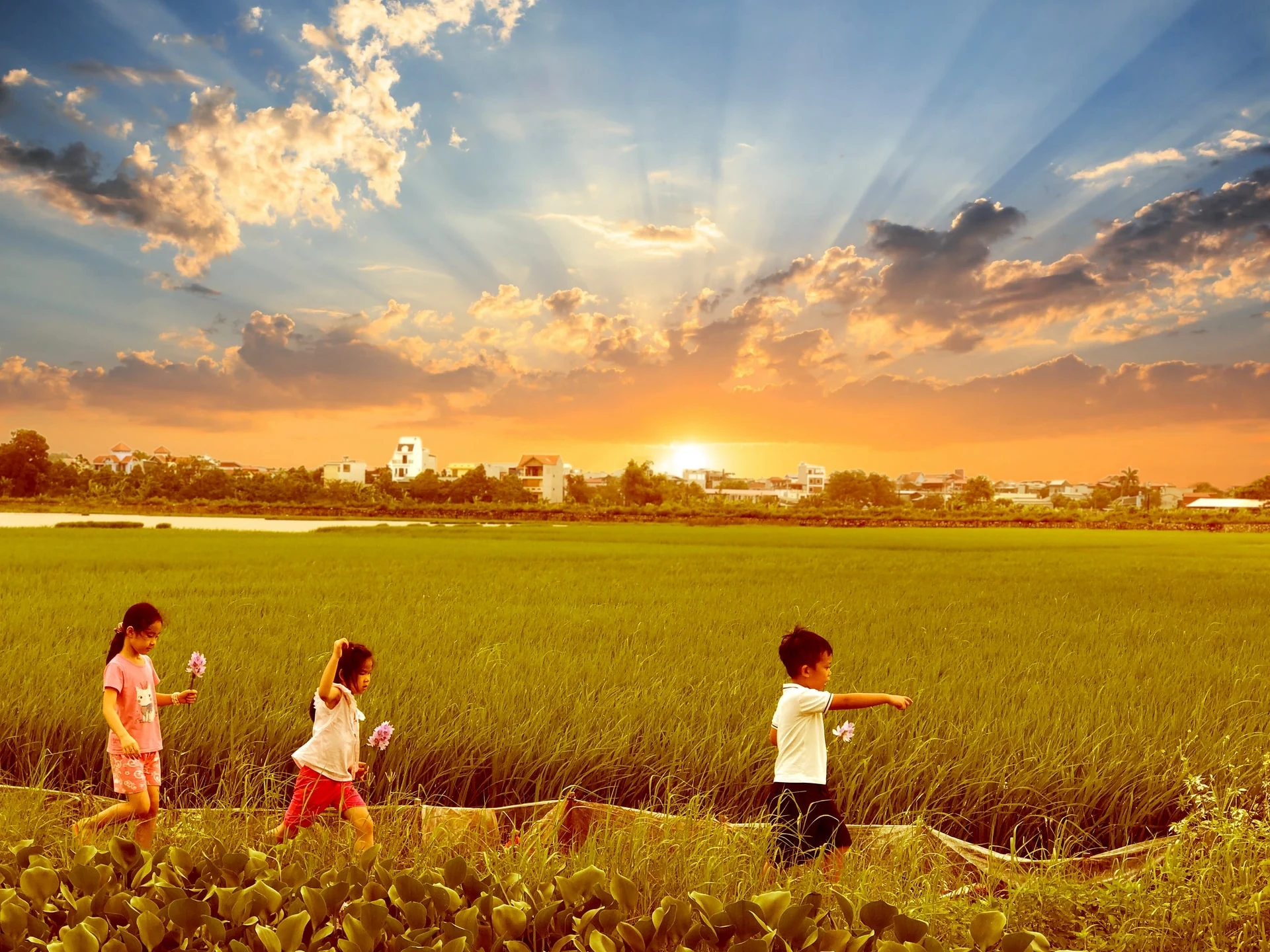 Cái nắng đầu đông hanh hao, đưa tôi về những miền nhớ.