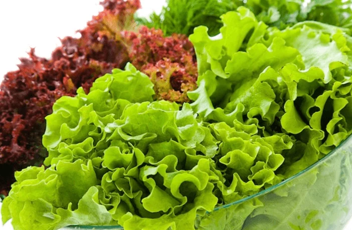 4 trường hợp không nên dùng rau xà lách