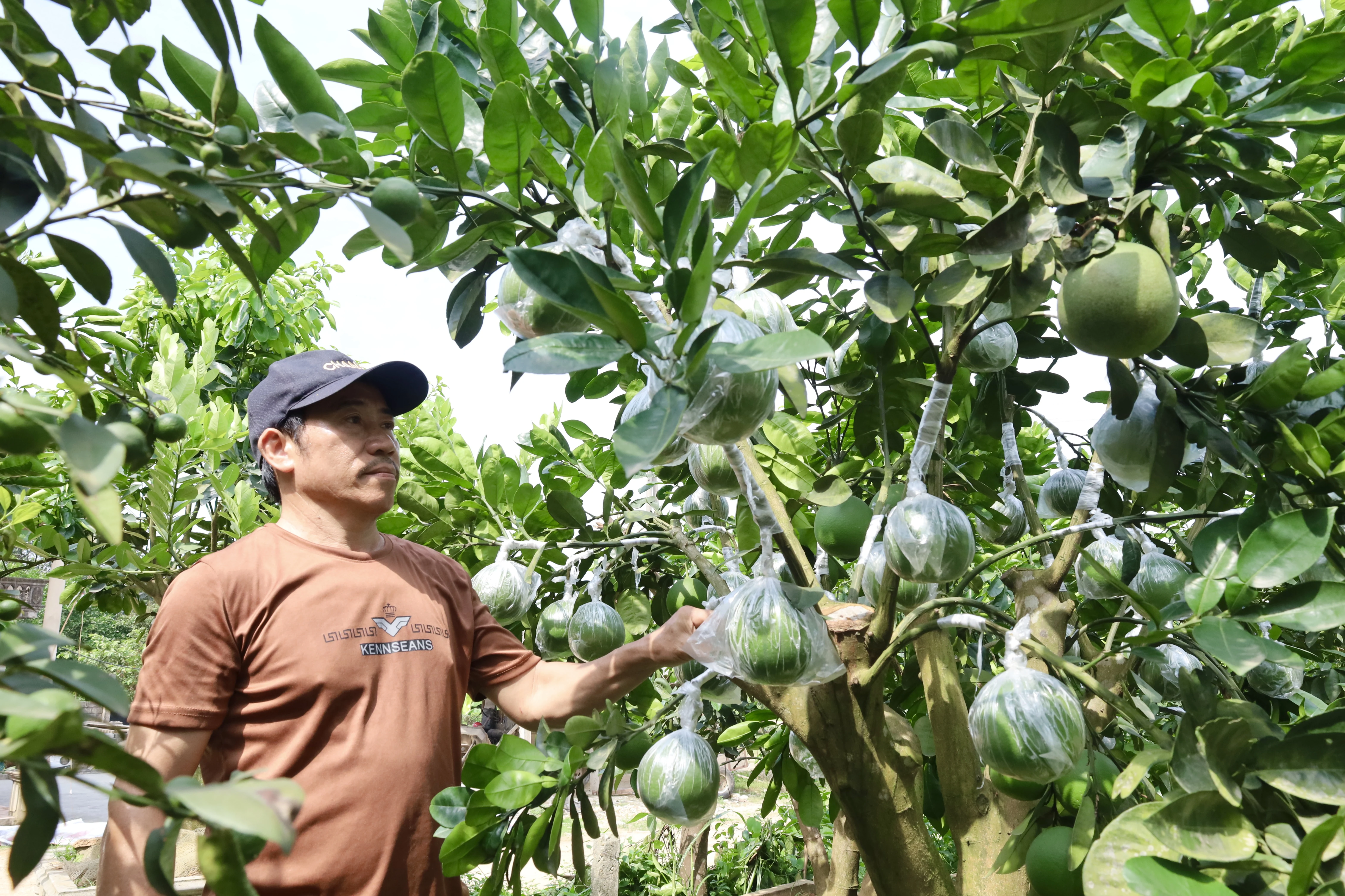 Turning local specialties into OCOP products