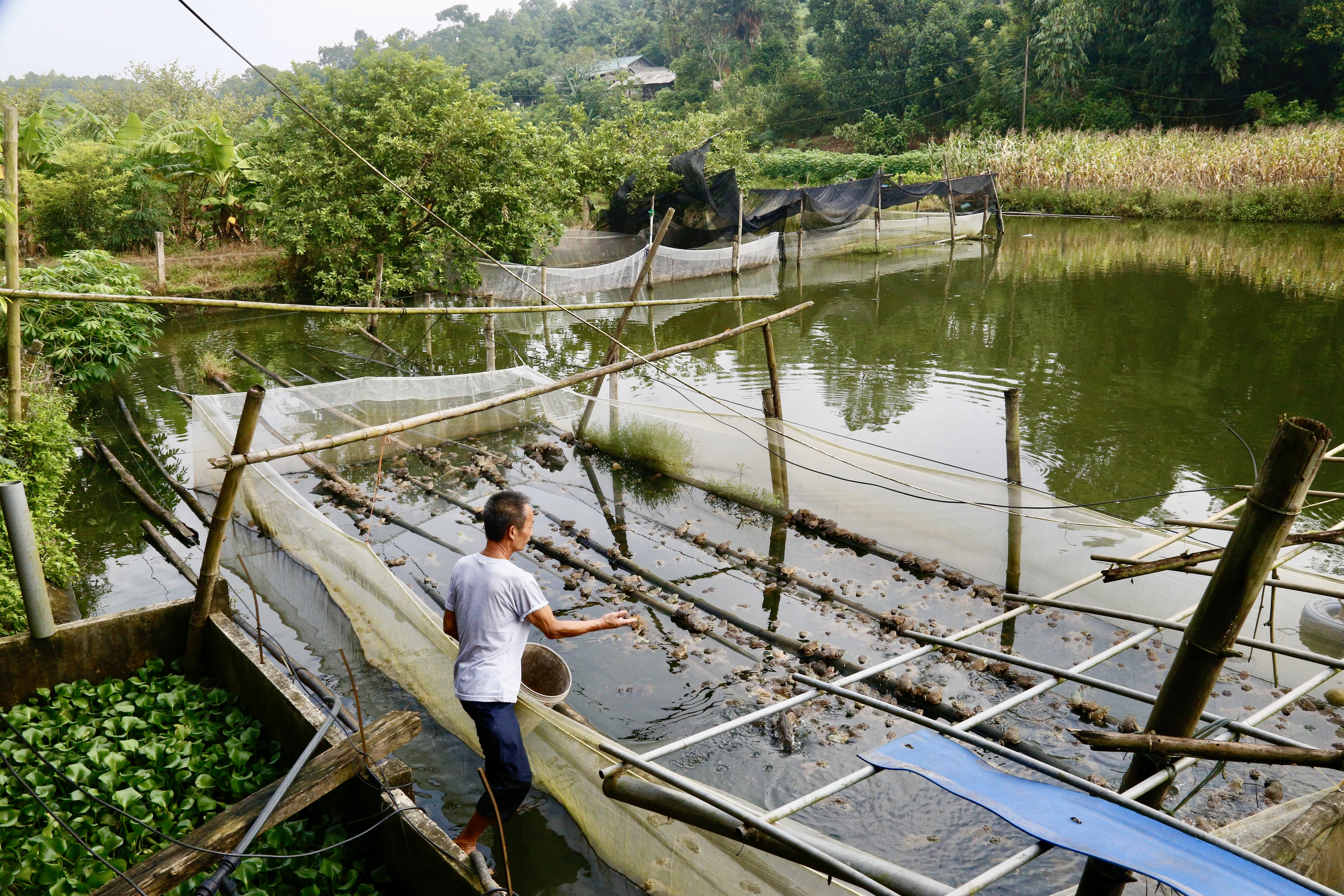 Thi đua phát triển kinh tế