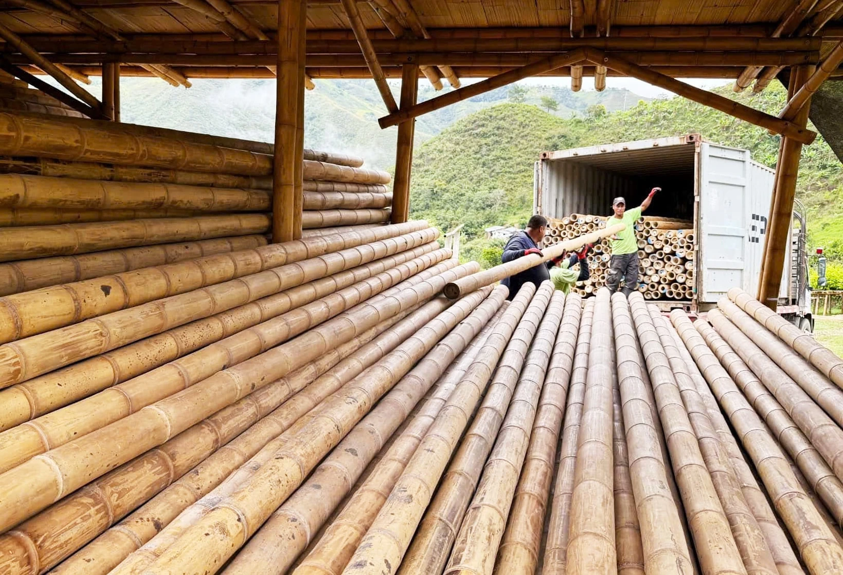 Xây dựng chuỗi giá trị xanh từ cây tre