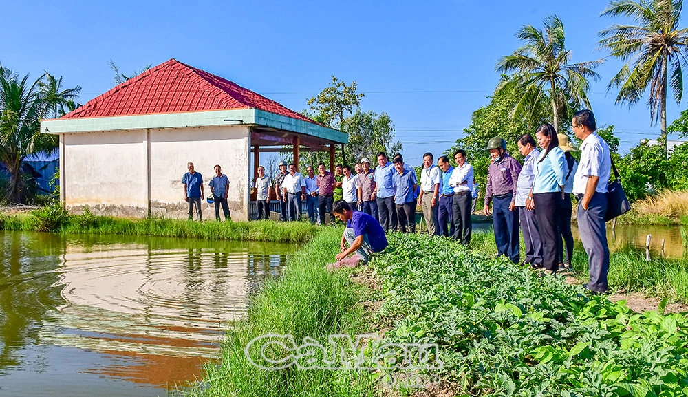 Vị ngọt từ sự đổi thay