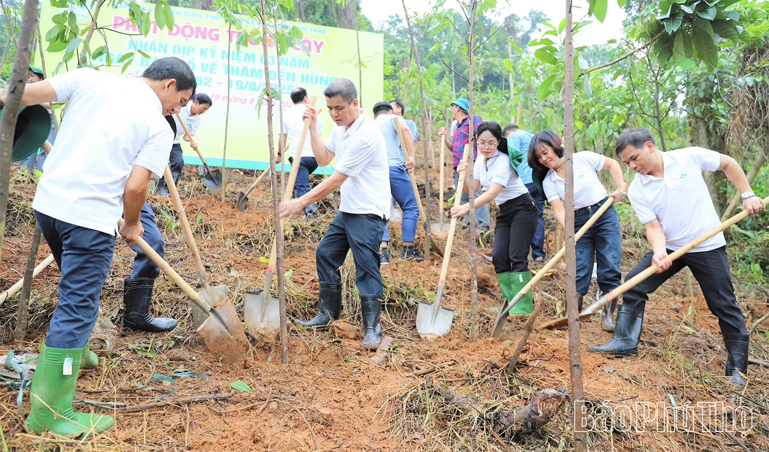 Dâng hương, hoa tưởng niệm Chủ tịch Hồ Chí Minh và phát động trồng cây tại Khu Di tích lịch sử Đền Hùng