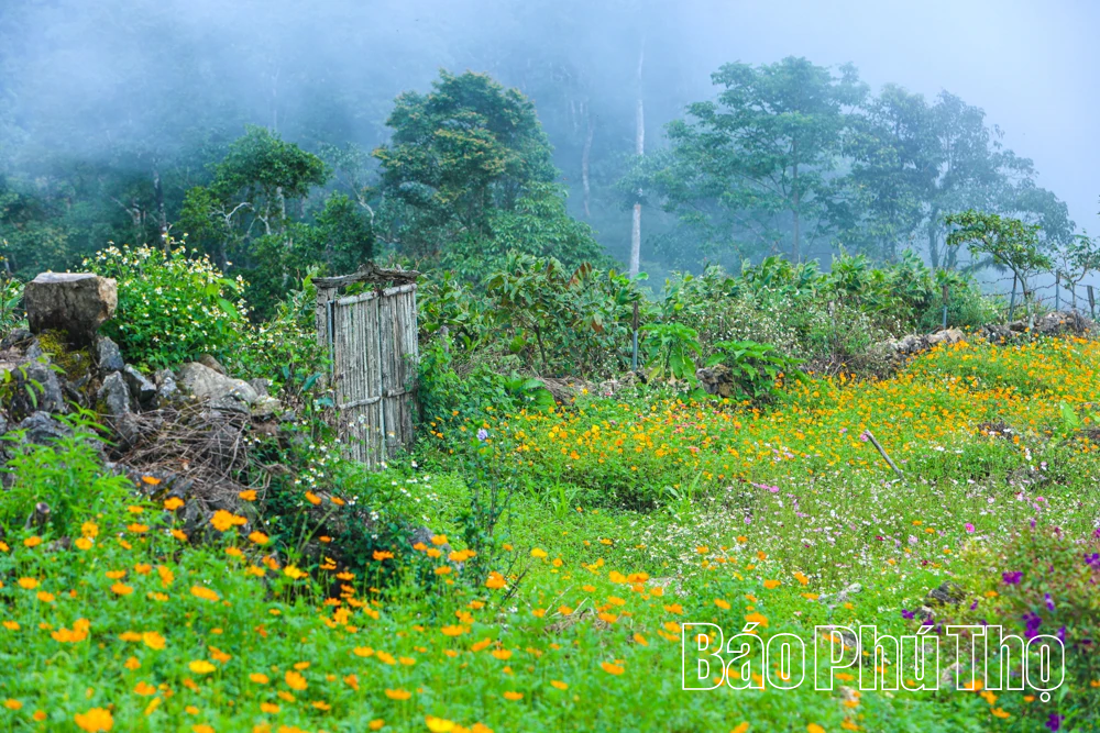 Mây vờn trên đỉnh Hang Kia
