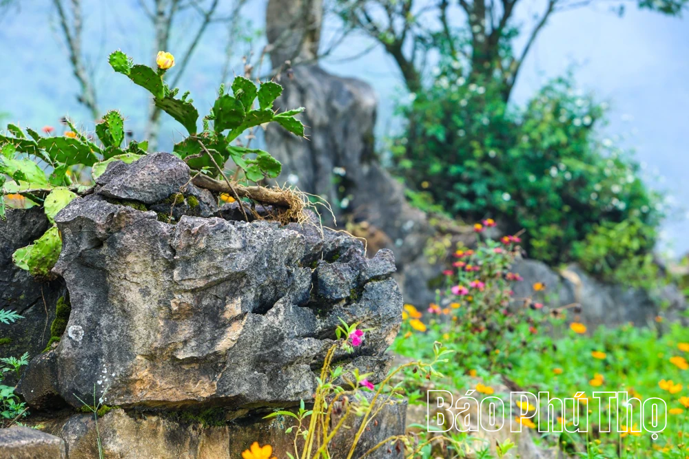 Mây vờn trên đỉnh Hang Kia