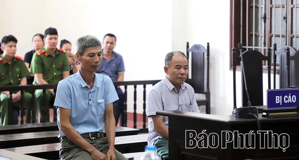 Nguyên trưởng thôn lĩnh 4 năm tù vì bán đất nghĩa trang trái phép