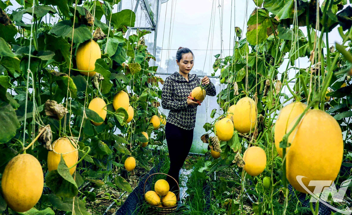 Nhịp sống mới ở những miền quê cũ