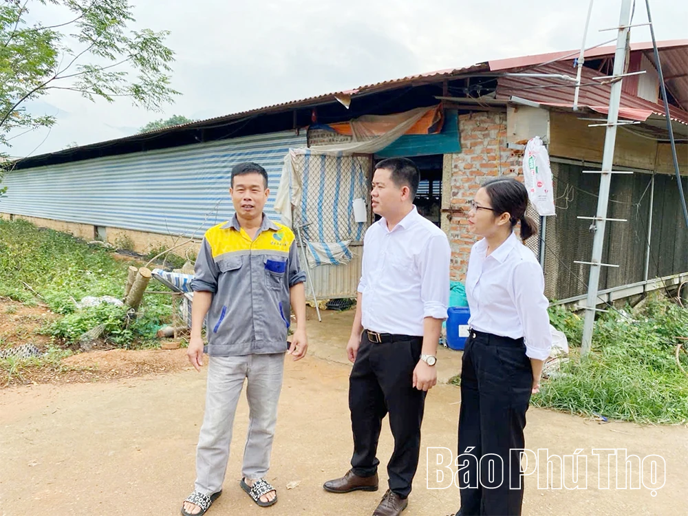 Agribank Tam Đảo - kênh dẫn vốn giúp nông dân miền núi hiệu quả