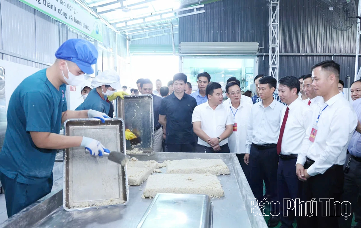 Công ty Hải Minh Anh: Khai trương và giới thiệu sản phẩm mới