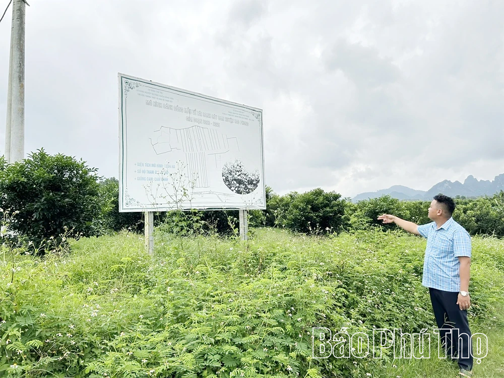 KỲ 2: Khi thủ phủ cam lao đao