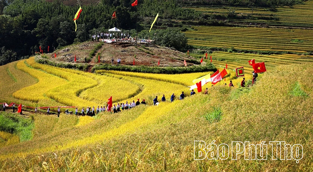 Lễ hội Ruộng bậc thang Miền Đồi 2025 sẽ có nhiều hoạt động đặc sắc