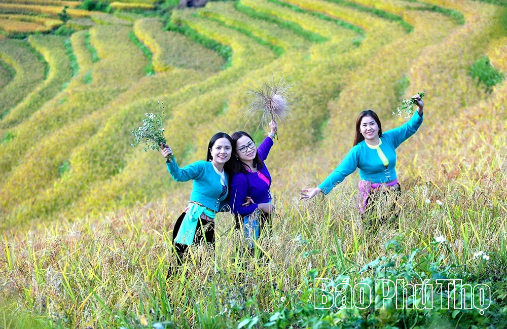 Lễ hội Ruộng bậc thang Miền Đồi 2025 sẽ có nhiều hoạt động đặc sắc