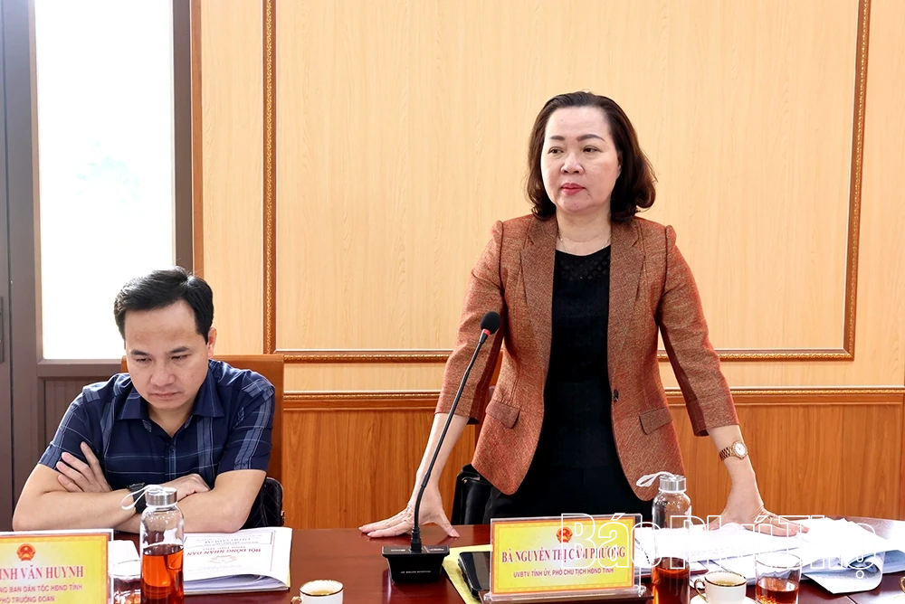 Giám sát việc triển khai Chiến lược công tác dân tộc