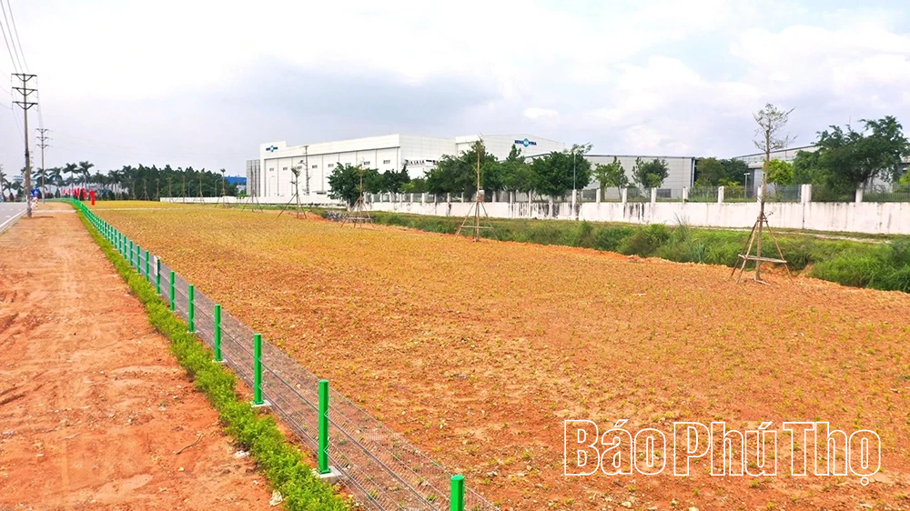 Chính quyền và doanh nghiệp chung tay xây dựng mỹ quan xanh KCN Bá Thiện II