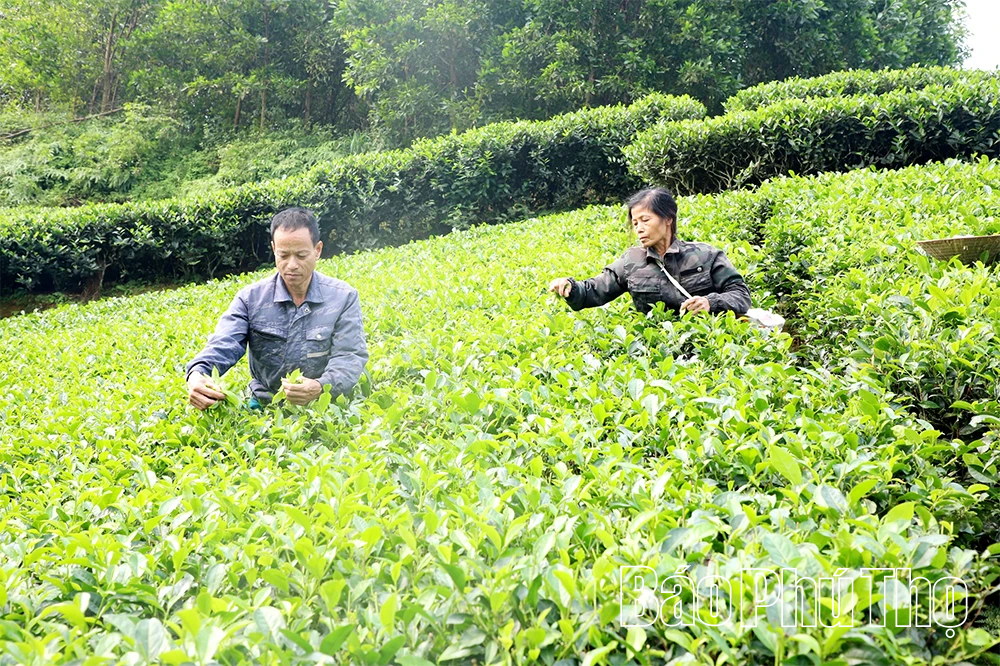 Tạo nguồn vốn, giúp người dân thoát nghèo